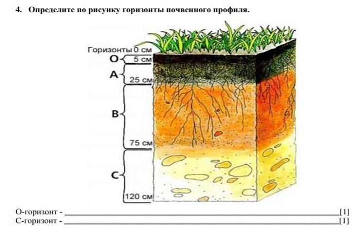 почвенный профиль