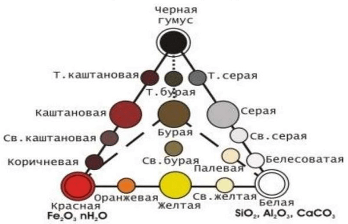 определение по цвету 