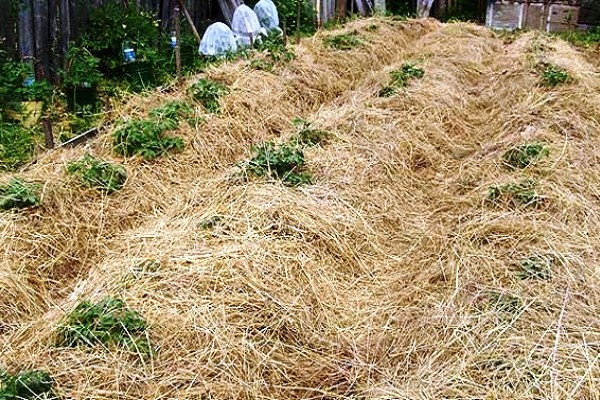 климатических условий