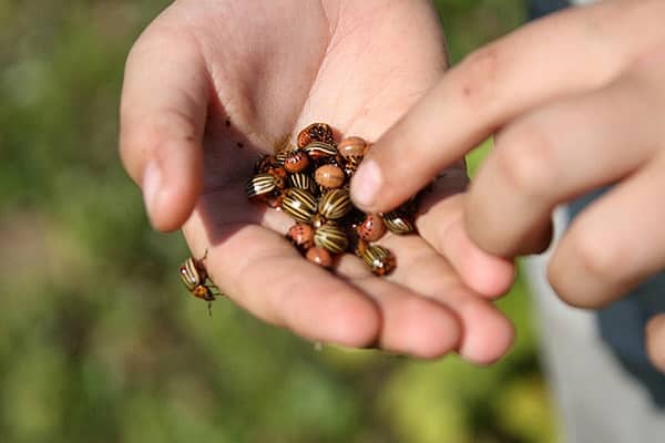 периодически обрабатывать