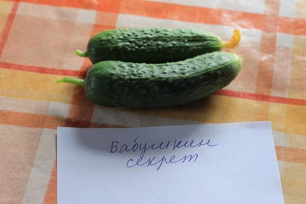 огурчики представляют