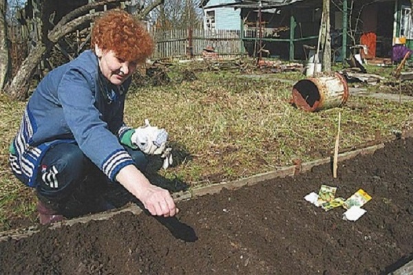 показатель всхожести