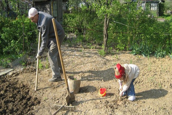 готовности почвы