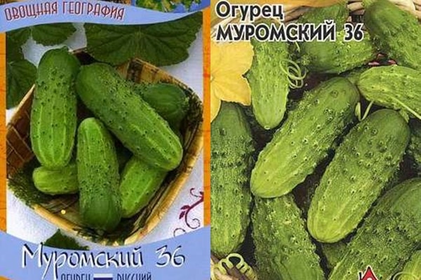 семена огурца Муромский