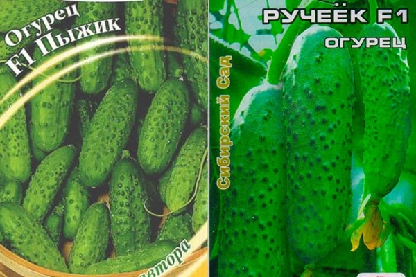 огурец пыжик и ручеек