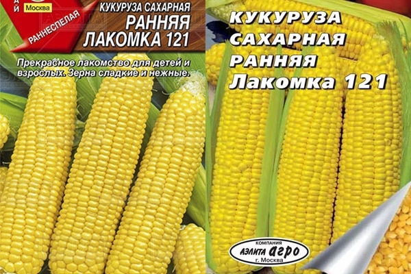 внешний вид кукурузы Ранняя лакомка