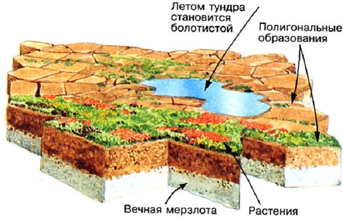 инструкция по земле 