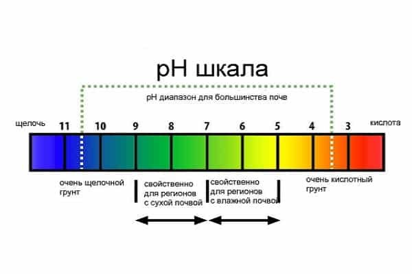 радужная шкала 