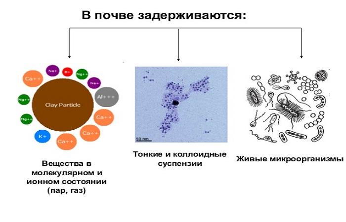 схема почвообмена 