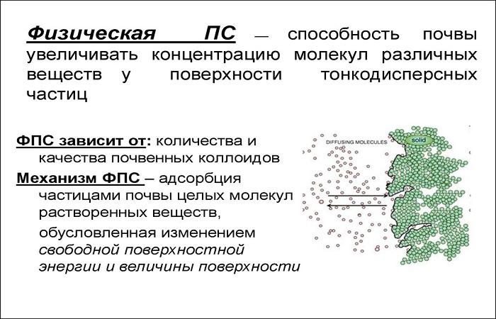 правило разьеснения 