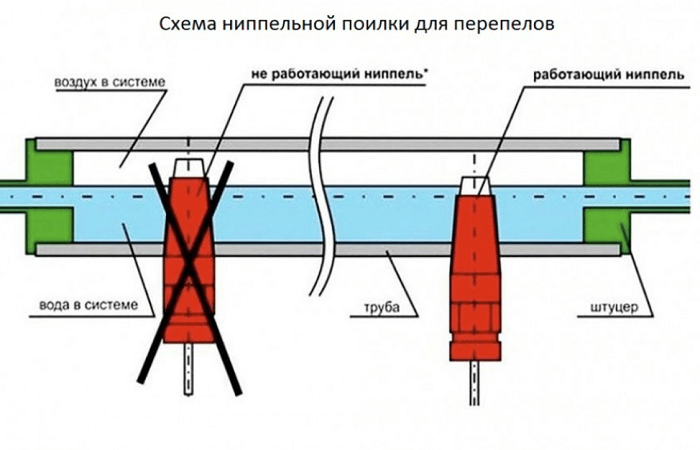 правильная схема 