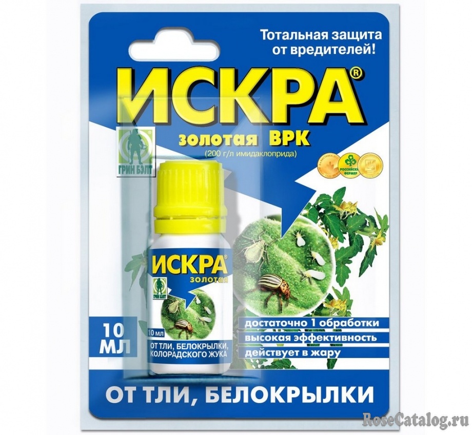 искра золотая