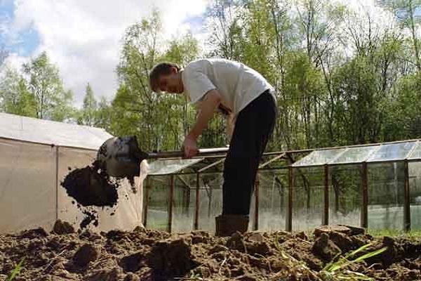 перекопать землю 