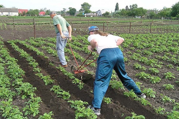 рекомендуется проводить