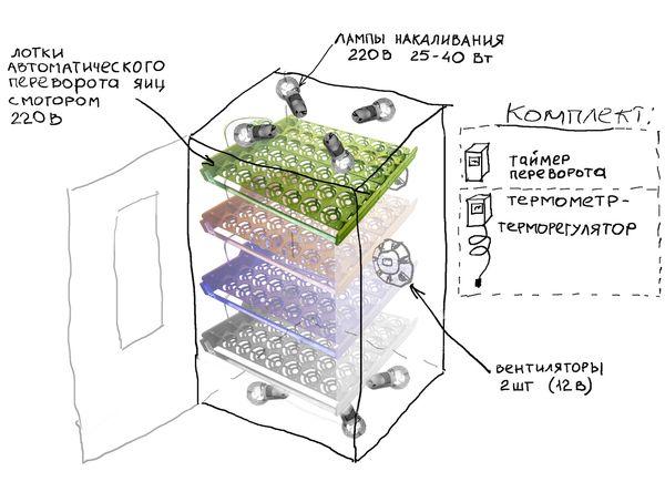 схема инкубатора