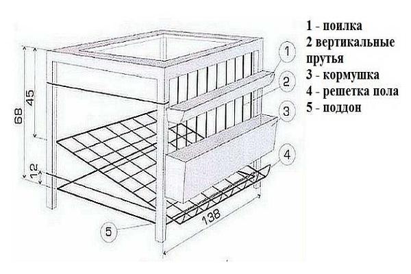 размеры клетки 