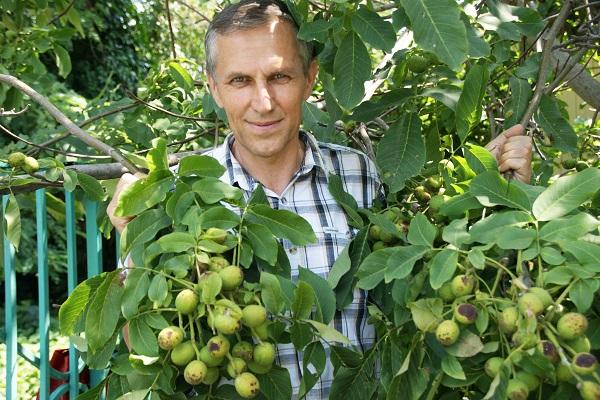 мужчина в дереве 