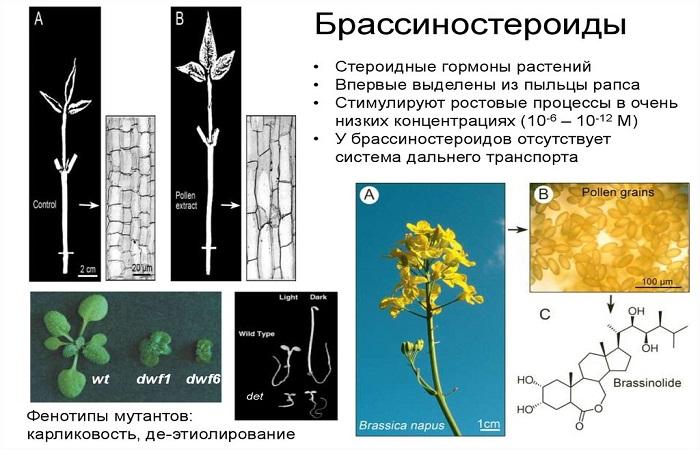 схемы и чертежи 