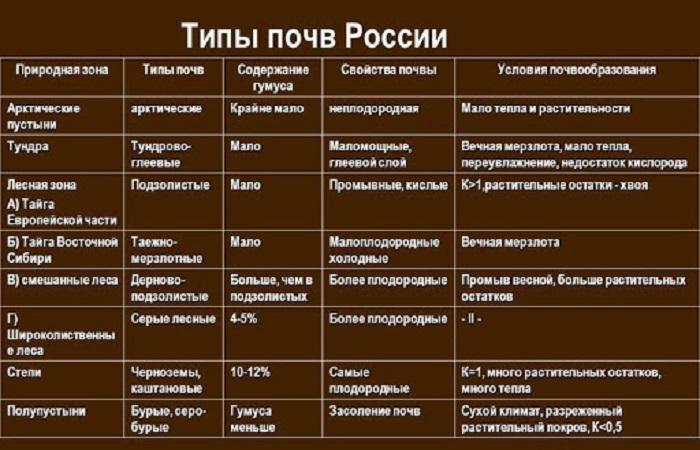 таблица по России 