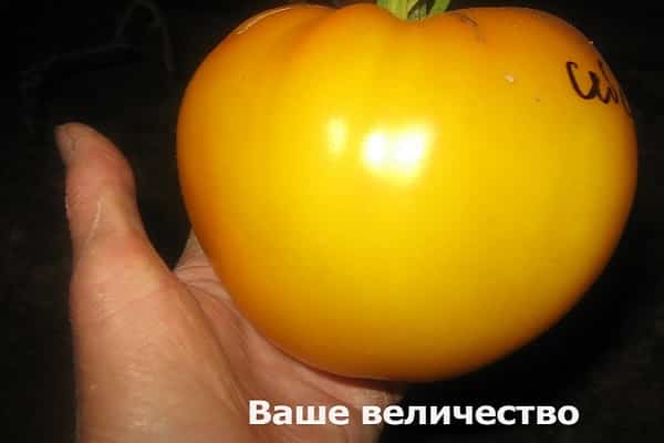 зимних заготовок