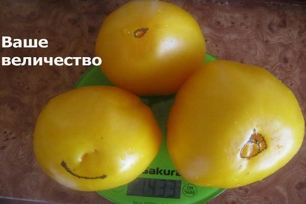 методом выращивания