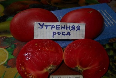 роса в разрезе 