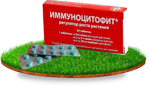 Иммуноцитофит