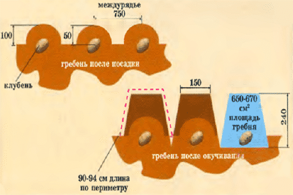 определенному алгоритму