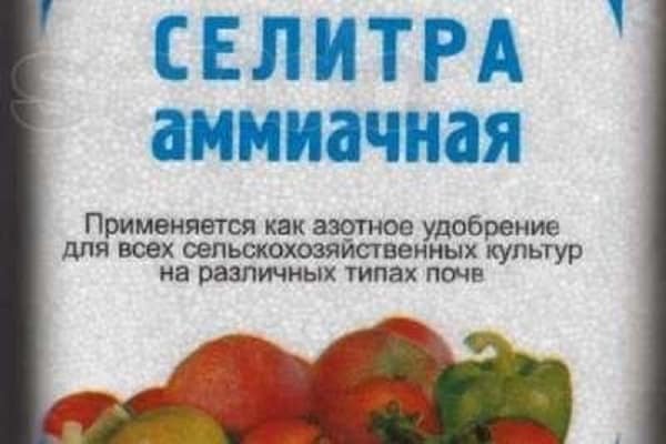 аммиачной селитры