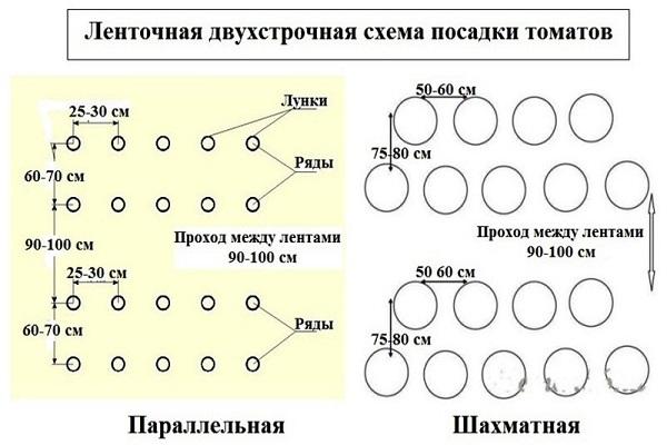 схема посадки 