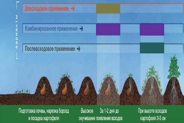 распад метрибузина