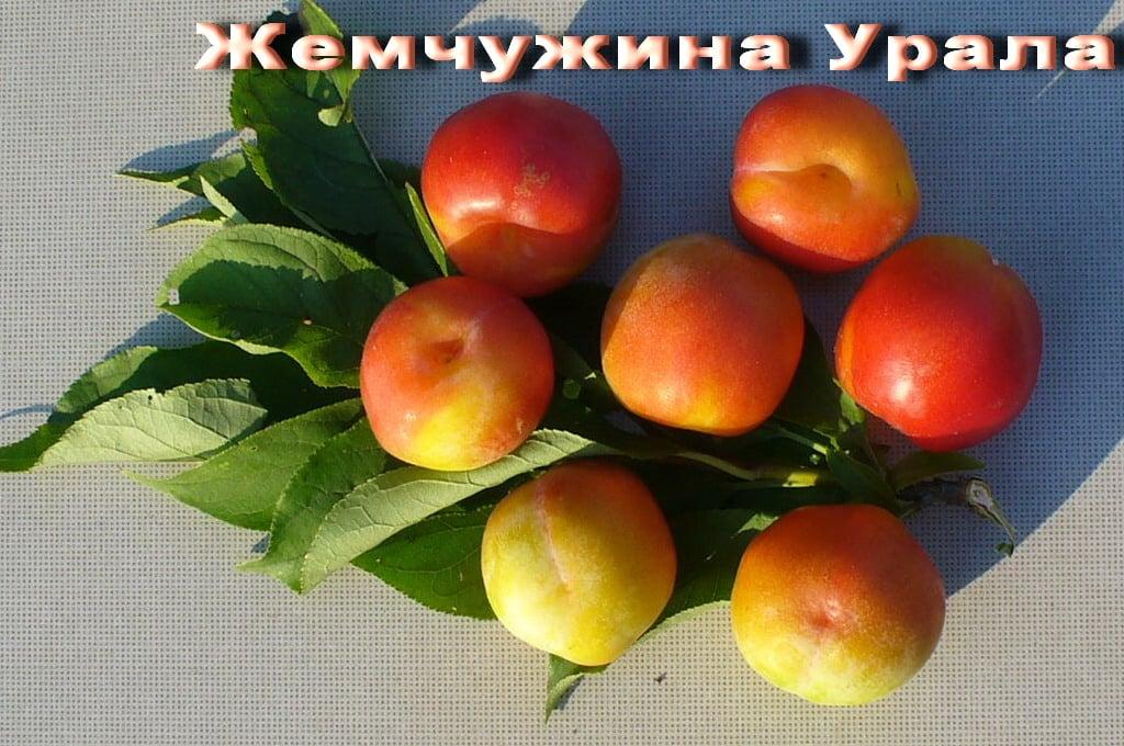 Жемчужина Урала